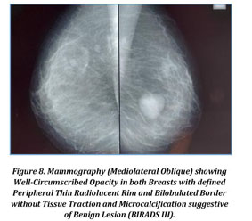 Statistical Parameters in Mediolateral Oblique and Craniocaudal