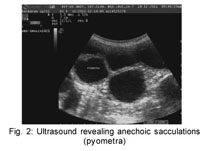 Haemostatic profile of bitches with pyometra - Document - Gale Academic ...