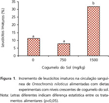 LIVE - Condições Ambientais para Produzir Cogumelo Medicinal Agaricus  blazei 