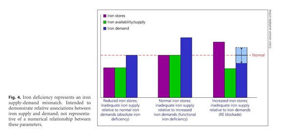 Positive Iron Balance in Chronic Kidney Disease: How Much is Too 