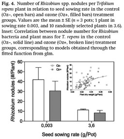 Gale Academic Onefile Document Assessing The Impacts Of Intra And Interspecific Competition Between Triticum Aestivum And Trifolium Repens On The Species Responses To Ozone