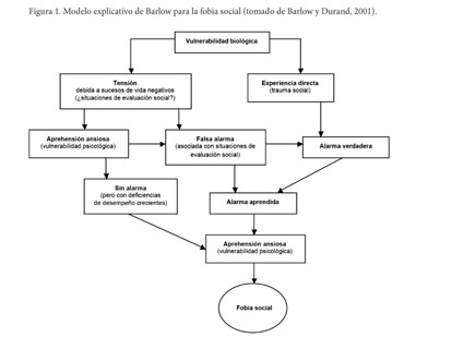 Modelos explicativos de la fobia social: una aproximación cognitivo-conductual.  - Document - Gale OneFile: Informe Académico
