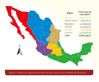 Hoja de maíz (Zea mays l.), importante actividad en la zona norte