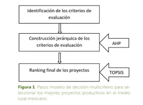 Modelo de decision multicriterio para seleccionar los mejores proyectos  productivos en el medio rural mexicano. - Document - Gale OneFile: Informe  Académico
