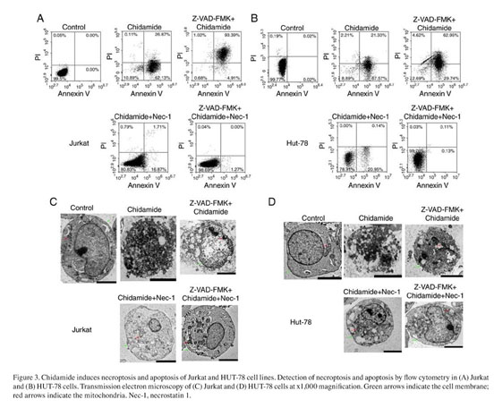 Chidamide Induces Necroptosis Via Regulation Of C Flip Sub L Expression In Jurkat And Hut 78 Cells Document Gale Onefile Health And Medicine