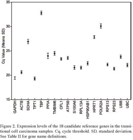 Gale Academic Onefile Document Selection Of Reference Genes