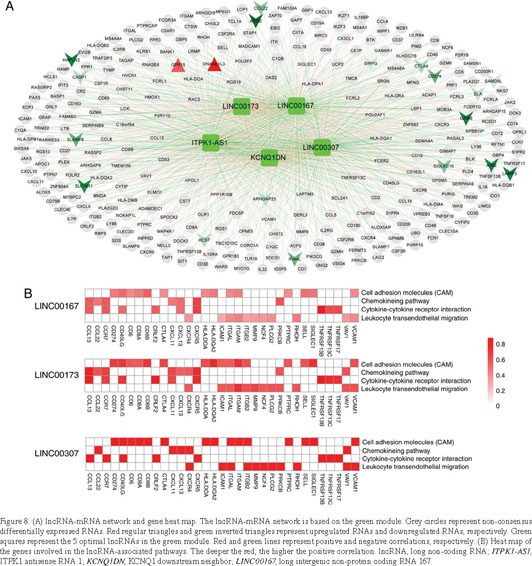 Spi Cam In Wc.Gale Onefile Health And Medicine Document Five Long Non Coding Rna Risk Score System For The Effective Prediction Of Gastric Cancer Patient Survival