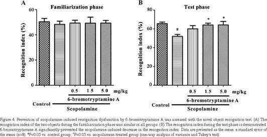 Spi Cam In Wc.Gale Academic Onefile Document Inhibition Of Acetylcholinesterase Activity And Beta Amyloid Oligomer Formation By 6 Bromotryptamine A A Multi Target Anti Alzheimer S Molecule