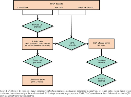 A database of 5305 healthy Korean individuals reveals genetic and clinical  implications for an East Asian population