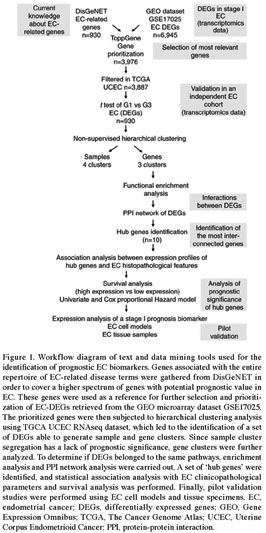 The different functions and clinical significances of caveolin-1 in human  adenocarcinoma and squamous cell carcinoma - Document - Gale OneFile:  Health and Medicine