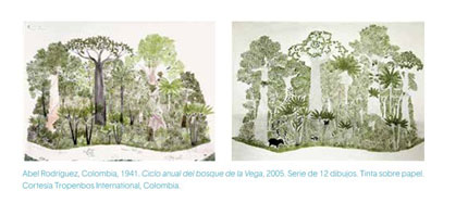 El árbol de la vida y de la abundancia - Tropenbos Colombia