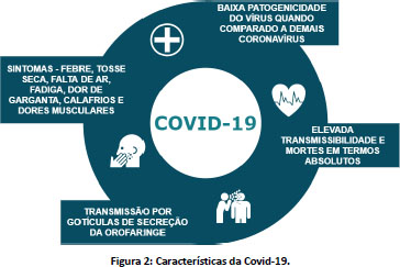 Videoaula 2 Análise por triangulação de métodos 