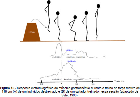 Análise eletromiográfica do método de treinamento de força Drop