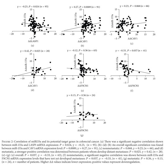 The different functions and clinical significances of caveolin-1 in human  adenocarcinoma and squamous cell carcinoma - Document - Gale OneFile:  Health and Medicine