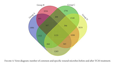 Pdf Infections And Aerobic Bacterial Pathogens In Diabetic Foot