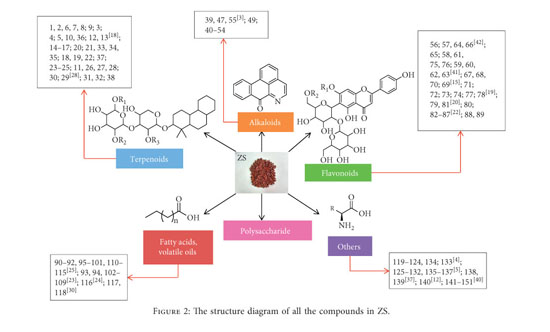 Gale Onefile Health And Medicine Document Botanical And Traditional Uses And Phytochemical Pharmacological Pharmacokinetic And Toxicological Characteristics Of Ziziphi Spinosae Semen A Review