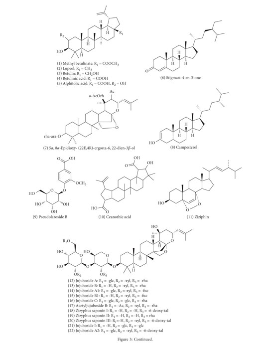 Gale Onefile Health And Medicine Document Botanical And Traditional Uses And Phytochemical Pharmacological Pharmacokinetic And Toxicological Characteristics Of Ziziphi Spinosae Semen A Review