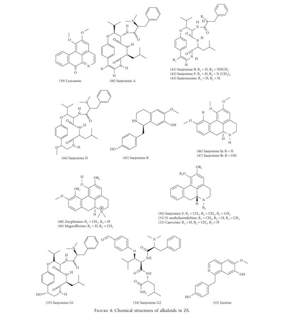 Gale Onefile Health And Medicine Document Botanical And Traditional Uses And Phytochemical Pharmacological Pharmacokinetic And Toxicological Characteristics Of Ziziphi Spinosae Semen A Review