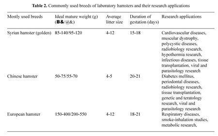 Age of Laboratory Hamster and Human: Drawing the Connexion - Document -  Gale OneFile: Health and Medicine