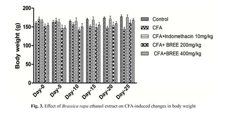 Ethanol Extract of Brassica Rapa Attenuate the Complete Freund's