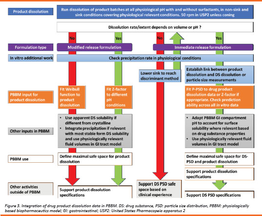 The Case for Physiologically Based Biopharmaceutics Modelling (PBBM ...