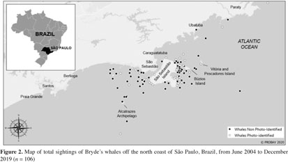 PDF) First report of a helminth infection for Bryde's whale Balaenoptera  edeni Anderson, 1878 (Cetacea, Balaenopteridae)