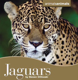 Jaguars, ed. , v. 