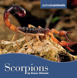 Scorpions, ed. , v. 