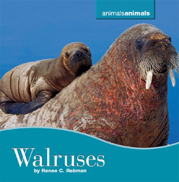 Walruses, ed. , v. 