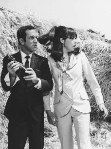 Barbara Feldon starred with Don Adams in the television series Get Smart from 1965 to 1970. Feldon played the role of the savvy Agent 99, in contrast to Adamss bumbling Agent 86.  BETTMANNCORBIS. REPRODUCED BY PERMISSION.