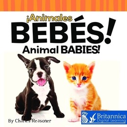 !Animales Bebés! (Animal Babies!), ed. , v. 