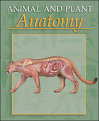 Animal and Plant Anatomy, ed. , v. 