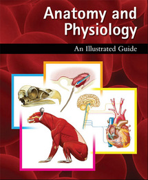 Anatomy and Physiology, ed. , v. 
