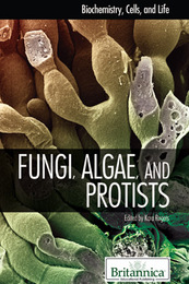 Fungi, Algae, and Protists, ed. , v. 