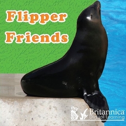 Flipper Friends, ed. , v. 