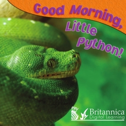 Good Morning, Little Python!, ed. , v. 
