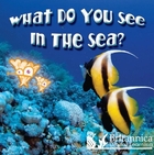 What Do You See in the Sea?, ed. , v. 