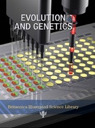 Evolution and Genetics, ed. , v. 