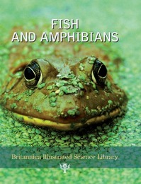 Fish and Amphibians, ed. , v. 