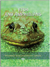 Fish and Amphibians, ed. , v. 
