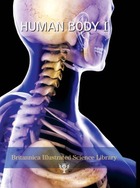 Human Body I, ed. , v. 