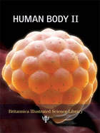 Human Body II, ed. , v. 