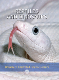 Reptiles and Dinosaurs, ed. , v. 