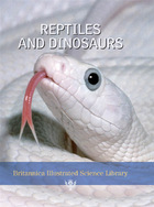 Reptiles and Dinosaurs, ed. , v. 