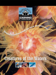 Creatures of the Waters, ed. , v. 