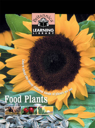 Food Plants, ed. , v. 