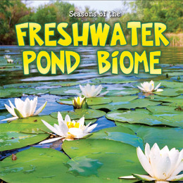 Seasons of the Freshwater Pond Biome, ed. , v. 