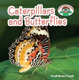 Caterpillars and Butterflies, ed. , v. 