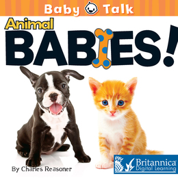Animal Babies!, ed. , v. 
