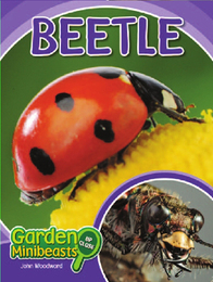 Beetle, ed. , v. 